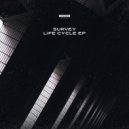 Survey - Life Cycle (Original Mix)