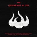 Quadrant and Iris - Calculated Risk (Sixfour Remix)