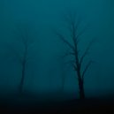 anywav - locked in fog ()