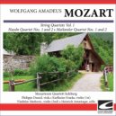 Mozarteum Quartett Salzburg - Mozart - String Quartet in D minor KV 421 (Haydn Quartet No. 2) - Allegro ()