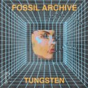 Fossil Archive, Roberto - Mist