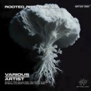 B-Helmet - Proteus
