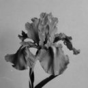 ACTUALLY ALF feat. Bella May - Healing (Original Mix)