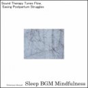 Sleep BGM Mindfulness - Echoes of Health and Vitality (Original Mix)