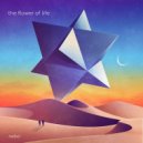 nebo - the flower of life