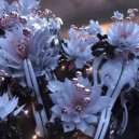 Mind Against, CAY (DE) - FLORAL