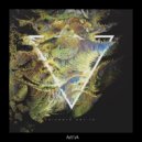 Moses (SA) - Consciousness