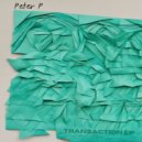 Peter P - Time Travel