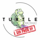 TURTLE DNB PROJECT - Autumn Fall (Original Mix)
