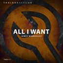 James Womersley - All I Want (Edit)