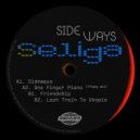 Seliga - One Finger Piano (trippy mix)