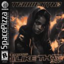 Terrie Kynd - I Like That VIP