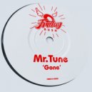 Mr.Tune - Gone