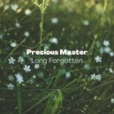 Precious Master - Long Forgotten (Original Mix)