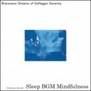 Sleep BGM Mindfulness - Neural Waves Flowing in Astral Dreams (Original Mix)