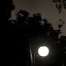 toggen - Home Of Time ()