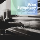 Wan Symphony - Piano Sonata No. 9 in D major, K. 311/284c: I. Allegro con spirito (Original Mix)