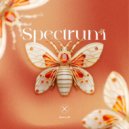 Karry G - Spectrum