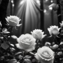 Nastiverse - Poetic Justice ()