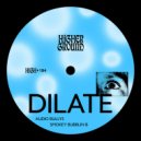 Audio Bullys & Smokey Bubblin\' B - Dilate (Extended Mix)