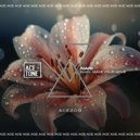 Nari - Baby, Make Your Move