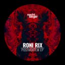 Roni Rix - Fucking Stories (Original Mix)