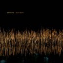 Véhicule - vita brevis consumatio