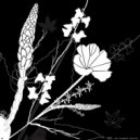 nsi. - Max Binski (Original Mix)
