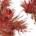 Loco Dice - Paradiso