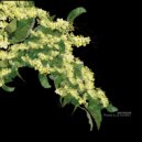 Digitaline - Anticlockwise