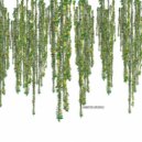 Guido Schneider, Florian Schirmacher - Nora P (Original Mix)