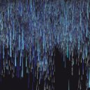 Francisco Allendes, Felipe Venegas - Parrot Plot