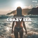 DJ Inox & Steven Roys feat. Żyski - Crazy Sea