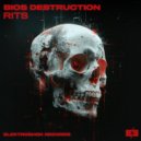 Bios Destruction - Richenka