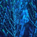 фиолетовый замок - чертог ()