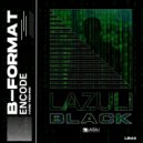 B-Format - 110010100(404)