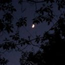 LOOTT - НИКОГДА (prod. by everestdidthis)