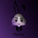 The Shein - PlayBay ()