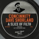 Concinnity, Dave Shorland - The Pain (Original Mix)
