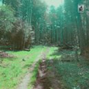 Jake Cassman & Drunken Logic - Walk It Off (Stripped) (feat. Drunken Logic) ()