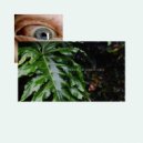 Wwiidobe - Chimes For Flies ()