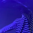 eyezakk & спокойное будущее - ДЕМН ()