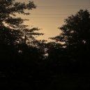 SQERRLED - goodofthepast ()