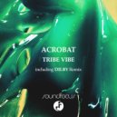 Acrobat - Tribe Vibe