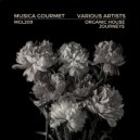 John Lecter - Meteor Storm (Original Mix)