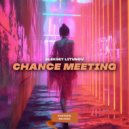 Aleksey Litunov - Chance Meeting