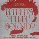 Les Rythmes Digitales, Ben Sterling - (Hey You) What\'s That Sound (Extended)