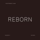 Electronic Fluke - Reborn