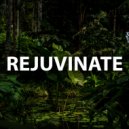 Kasszidy - Rejuvinate