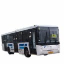 AN_75172RUS - Best friend ()